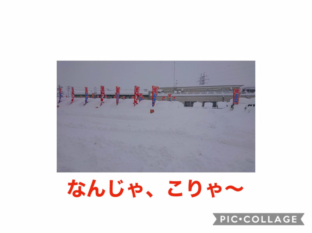 豪雪