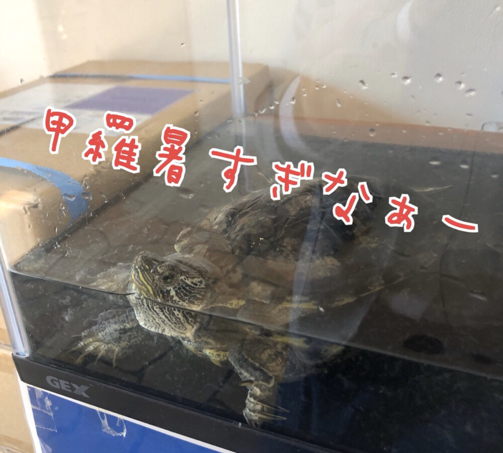 青森店ブログ