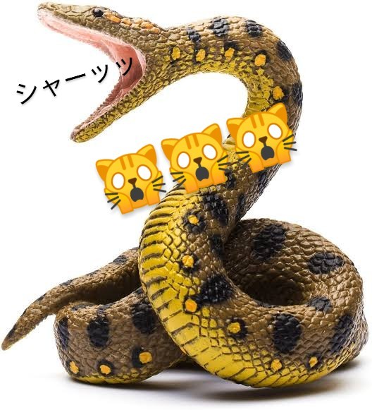 八戸店ブログ