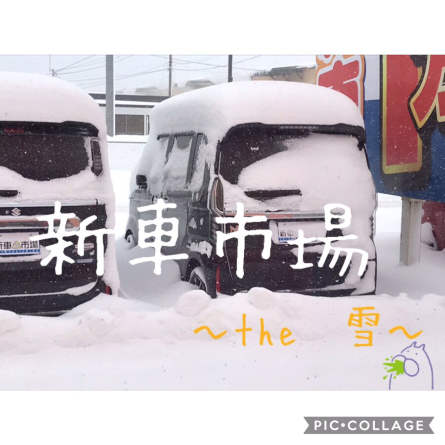 十和田店ブログ