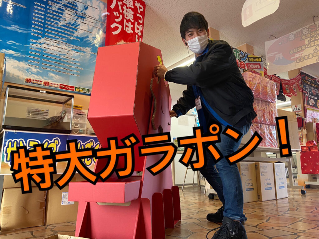 青森本店ブログ