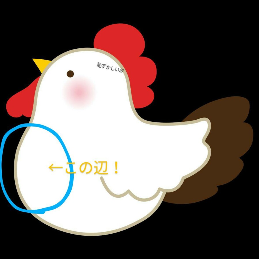 八戸本店ブログ2