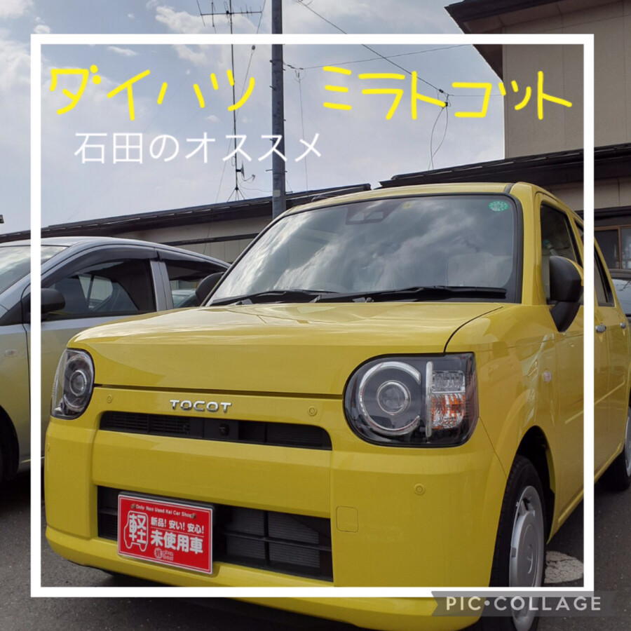 八戸本店ブログ
