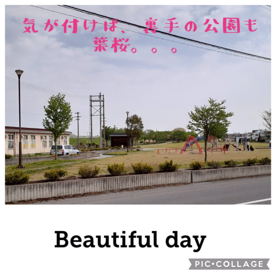 八戸本店ブログ