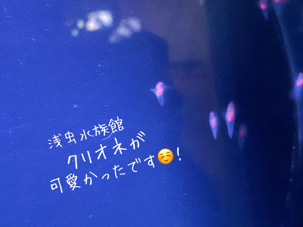 十和田店ブログ