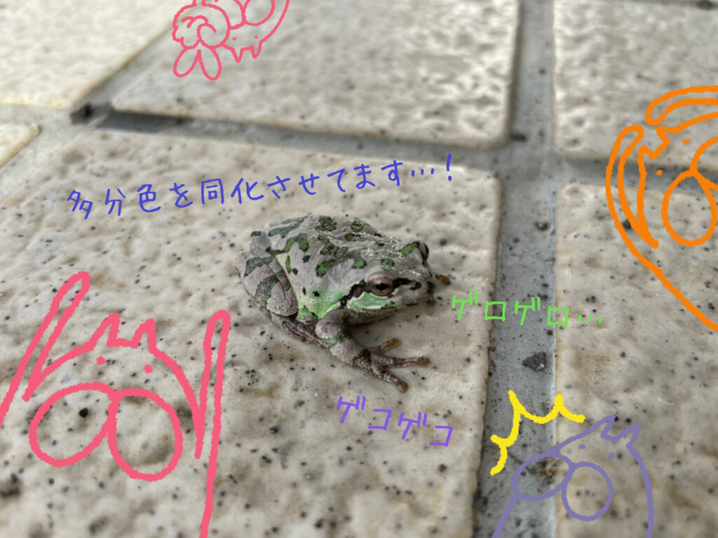 十和田店ブログ