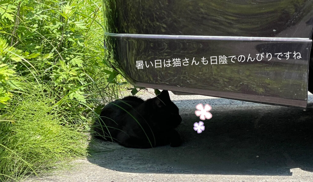 十和田店ブログ