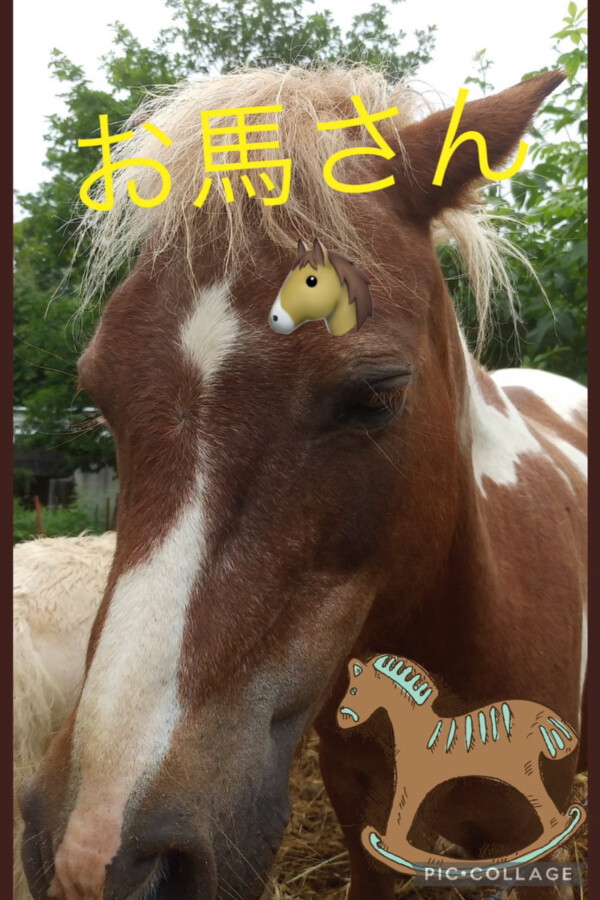 弘前本店ブログ