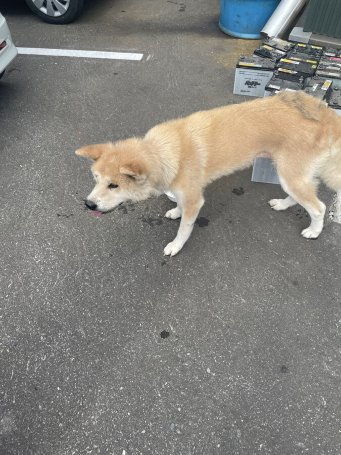 【青森本店ブログ】