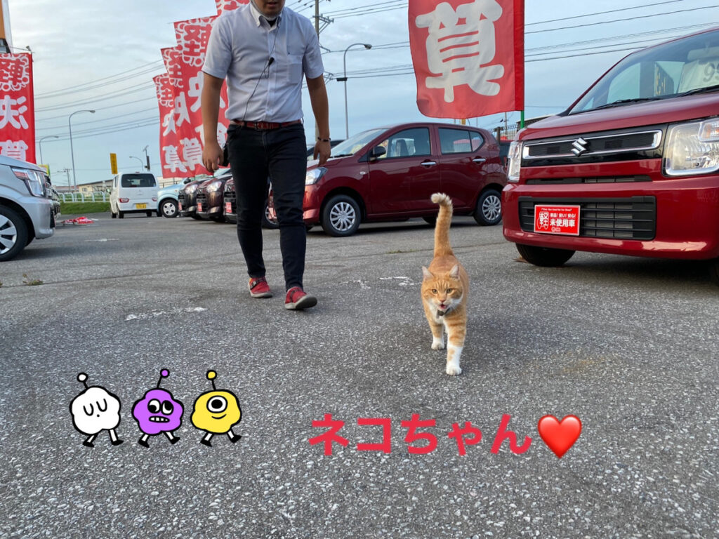 【弘前本店ブログ】