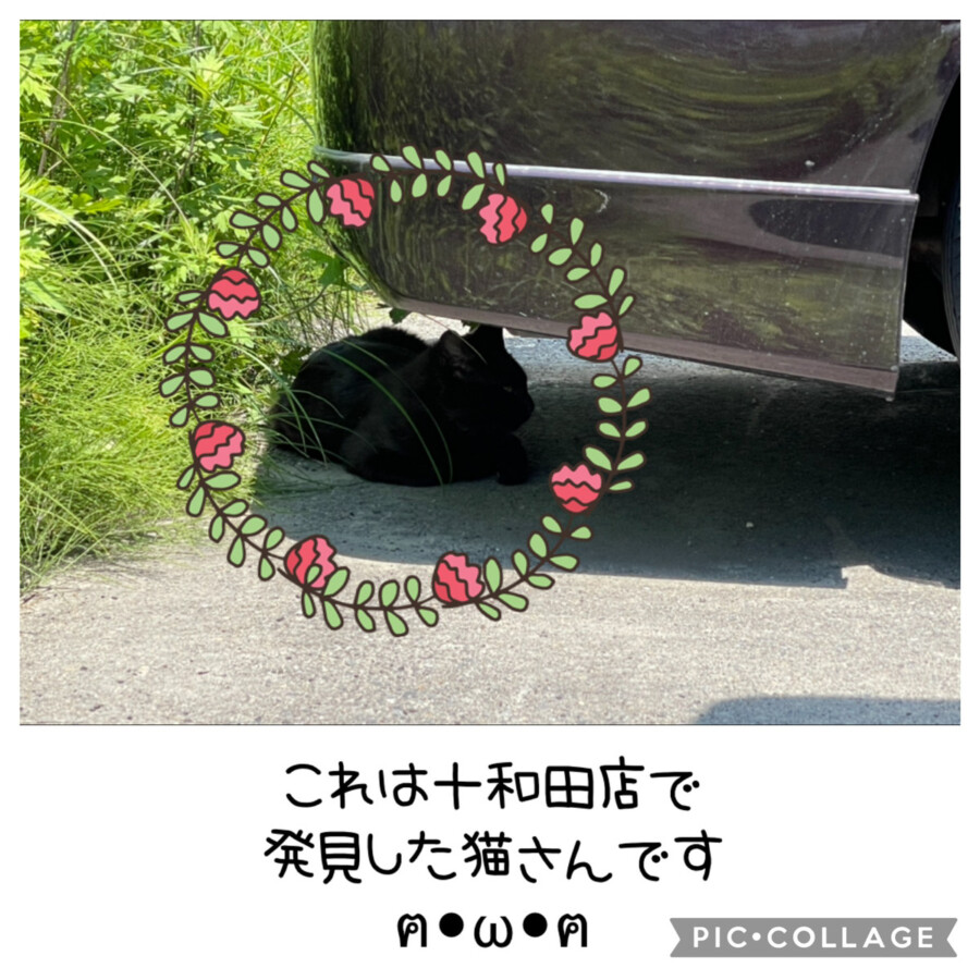 【十和田店ブログ】