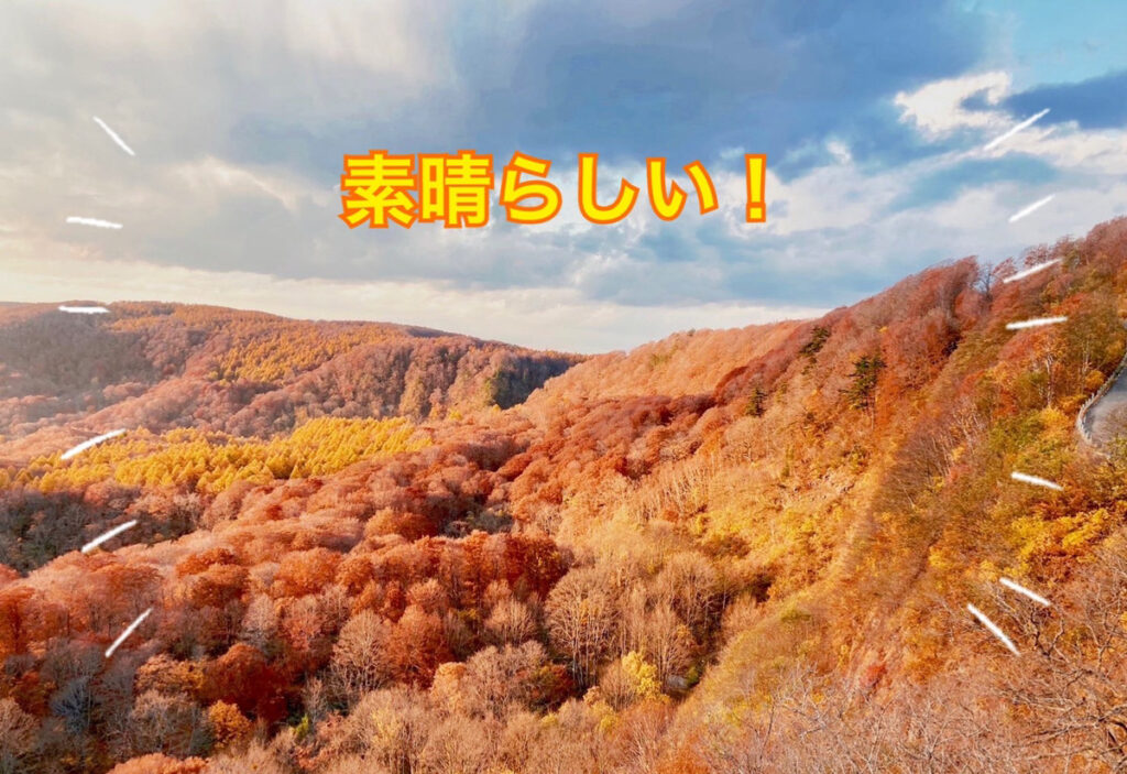 【弘前本店ブログ】