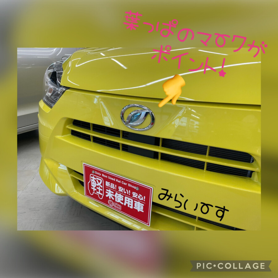 【十和田店ブログ】